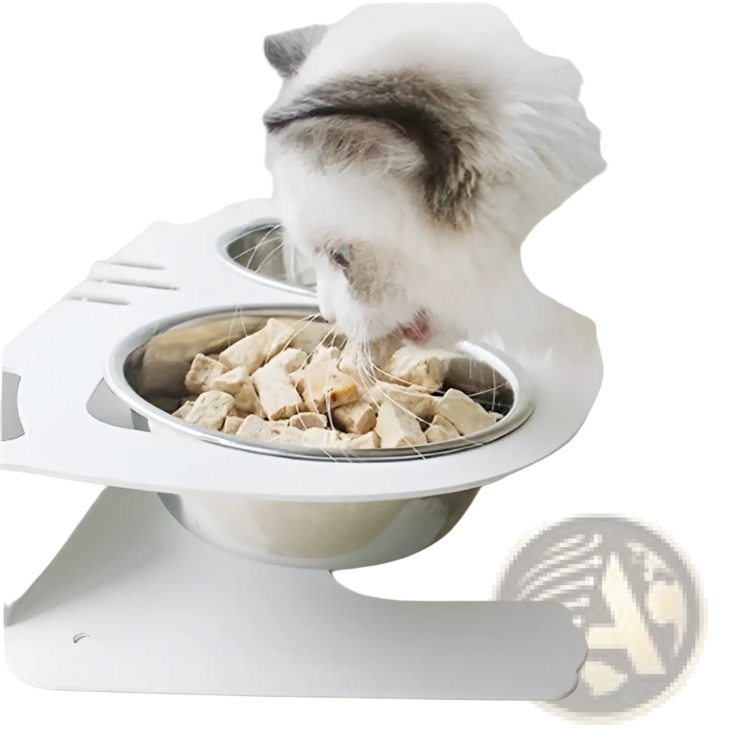 Adjustable Elevated Double Stainless Steel Pet Bowl