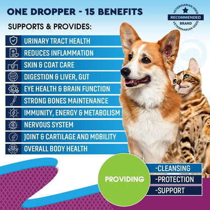 Cat &amp; Dog Liquid Multivitamin Glucosamine &amp; Cranberry