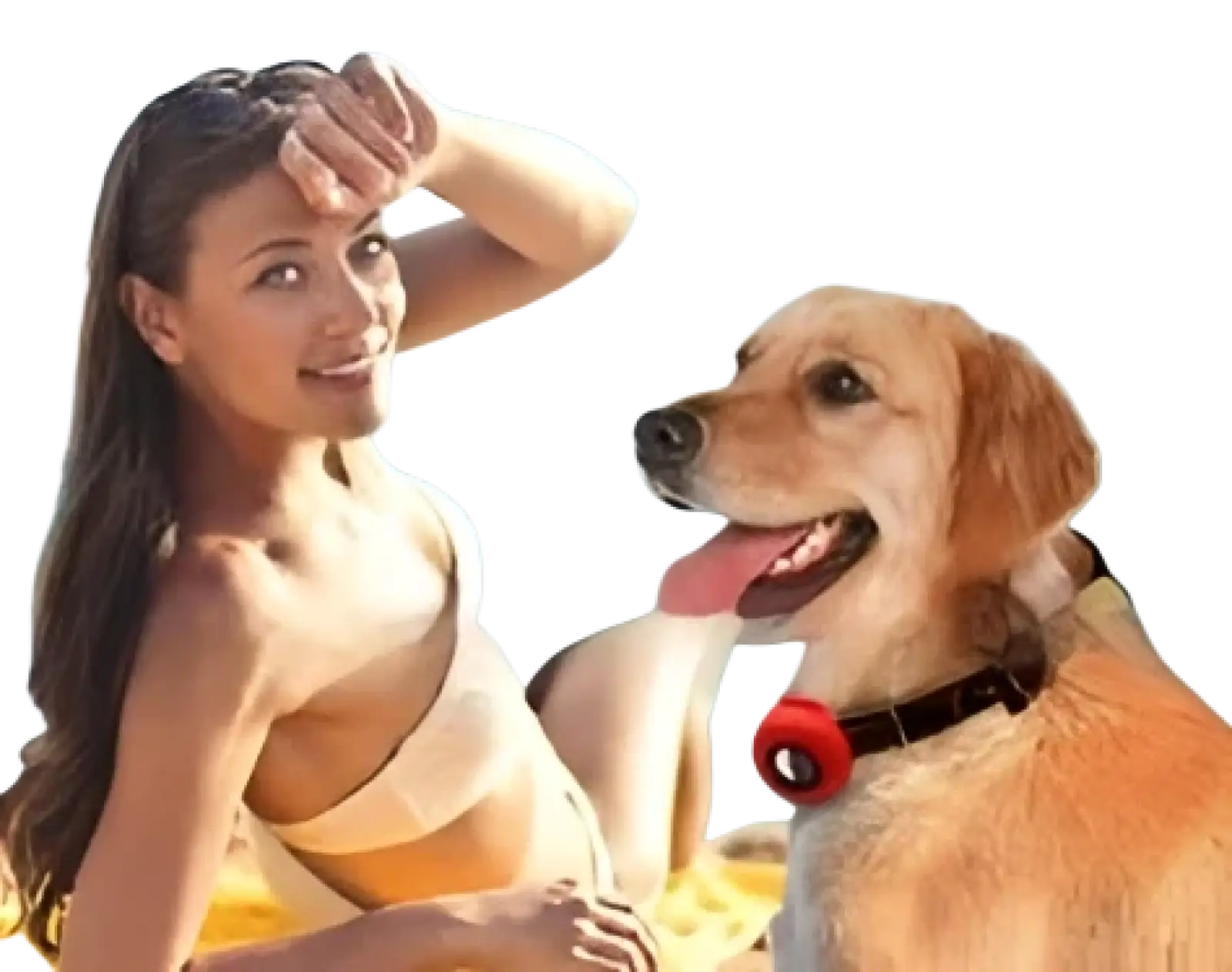 Airtag Silicone Pet Collar Tracker Protective Case