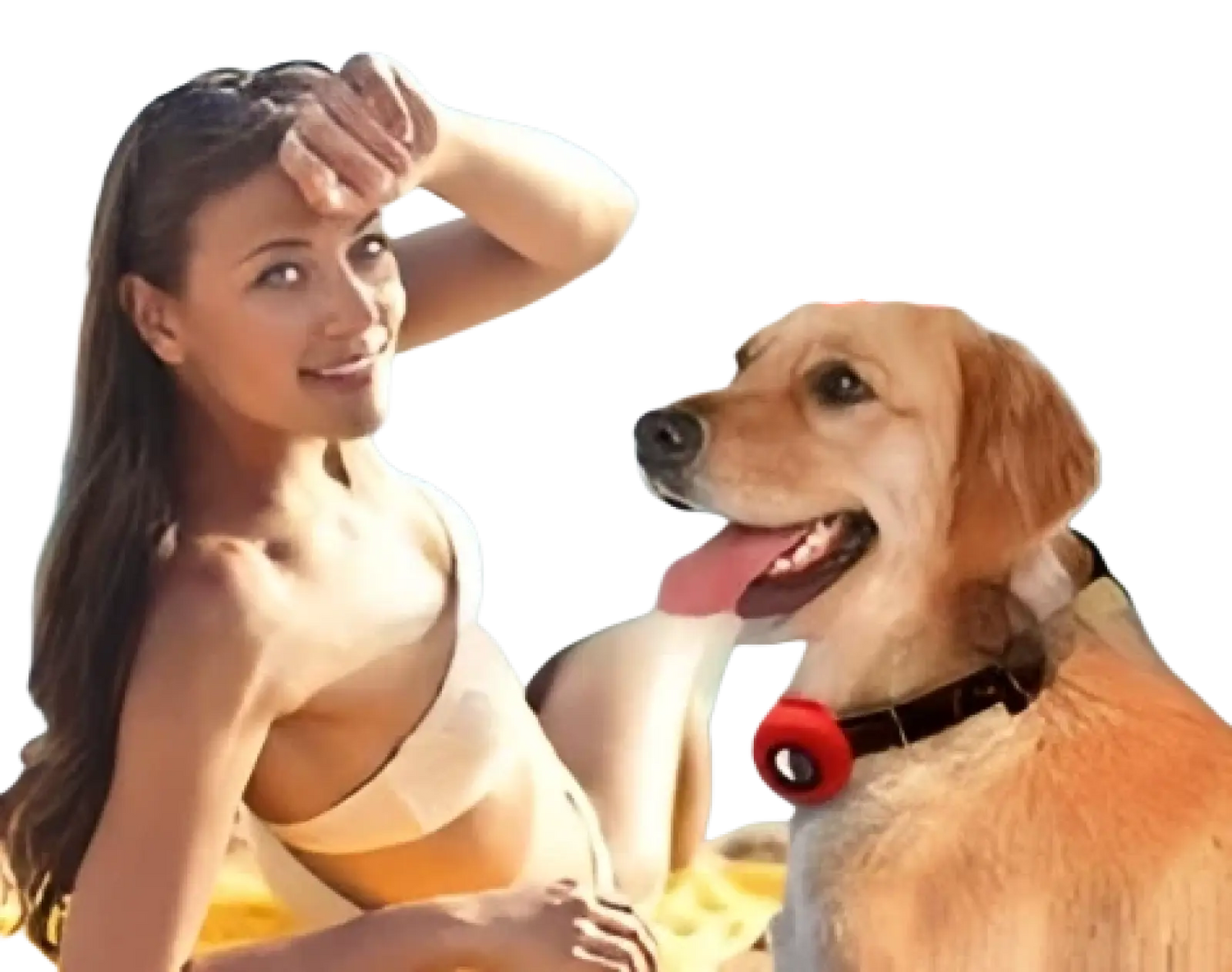 Airtag Silicone Pet Collar Tracker Protective Case