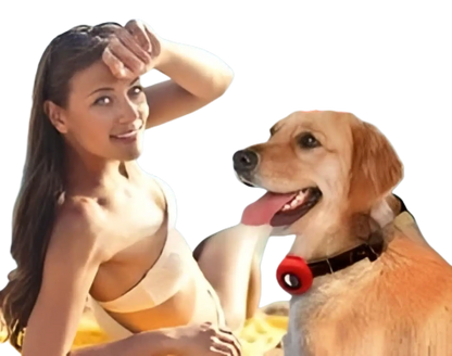 Airtag Silicone Pet Collar Tracker Protective Case