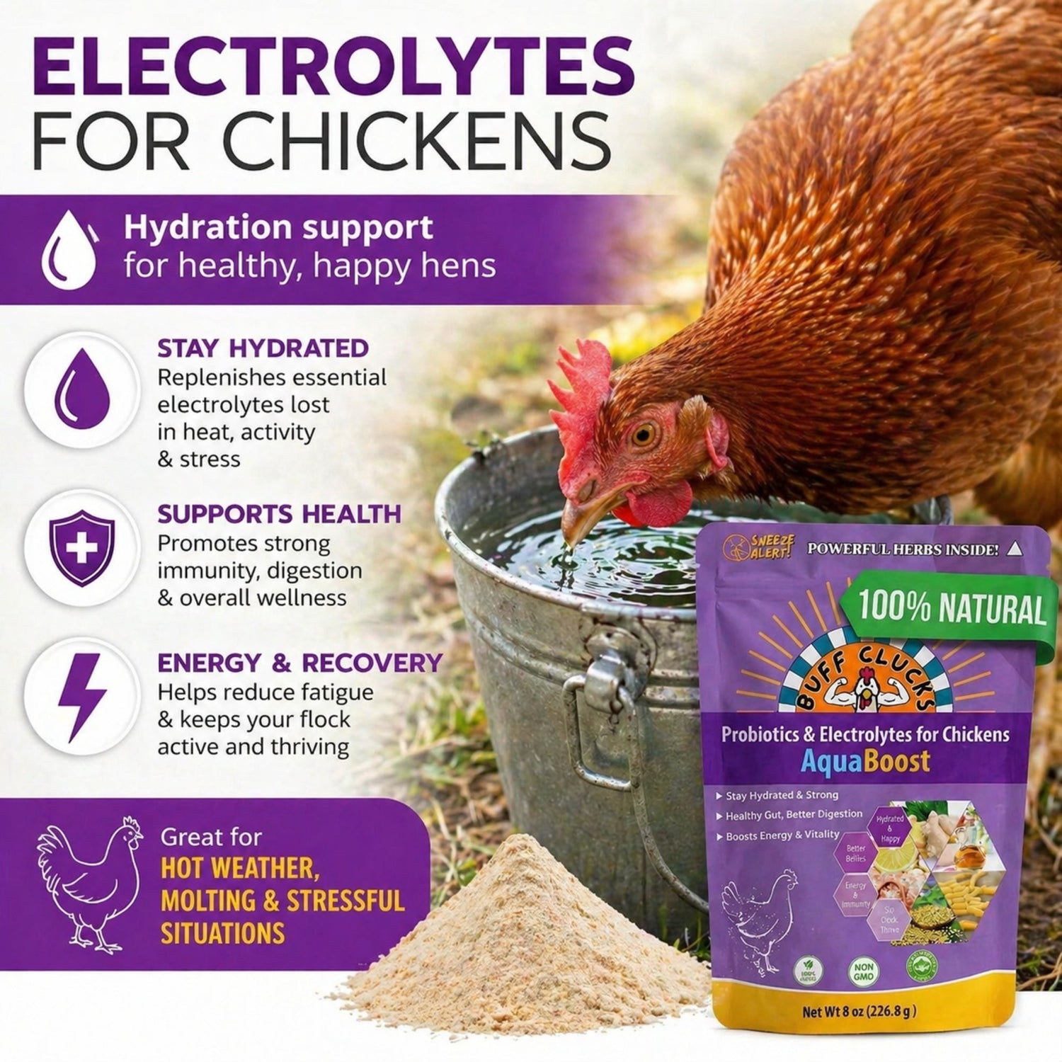 AquaBoost – Electrolytes and Probiotics for Backyard Chickens