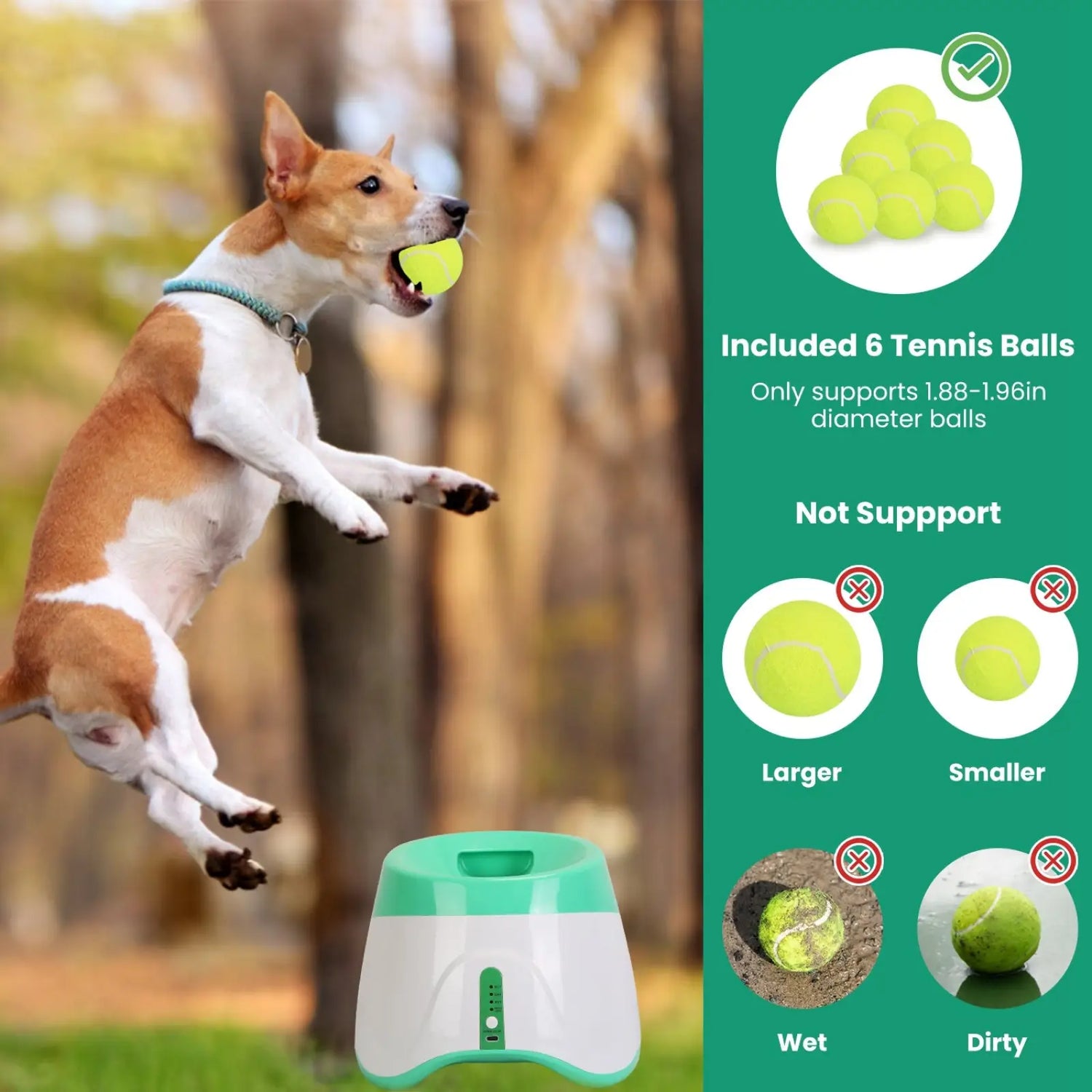 Automatic Dog Ball Launcher with 6 Tennis Balls