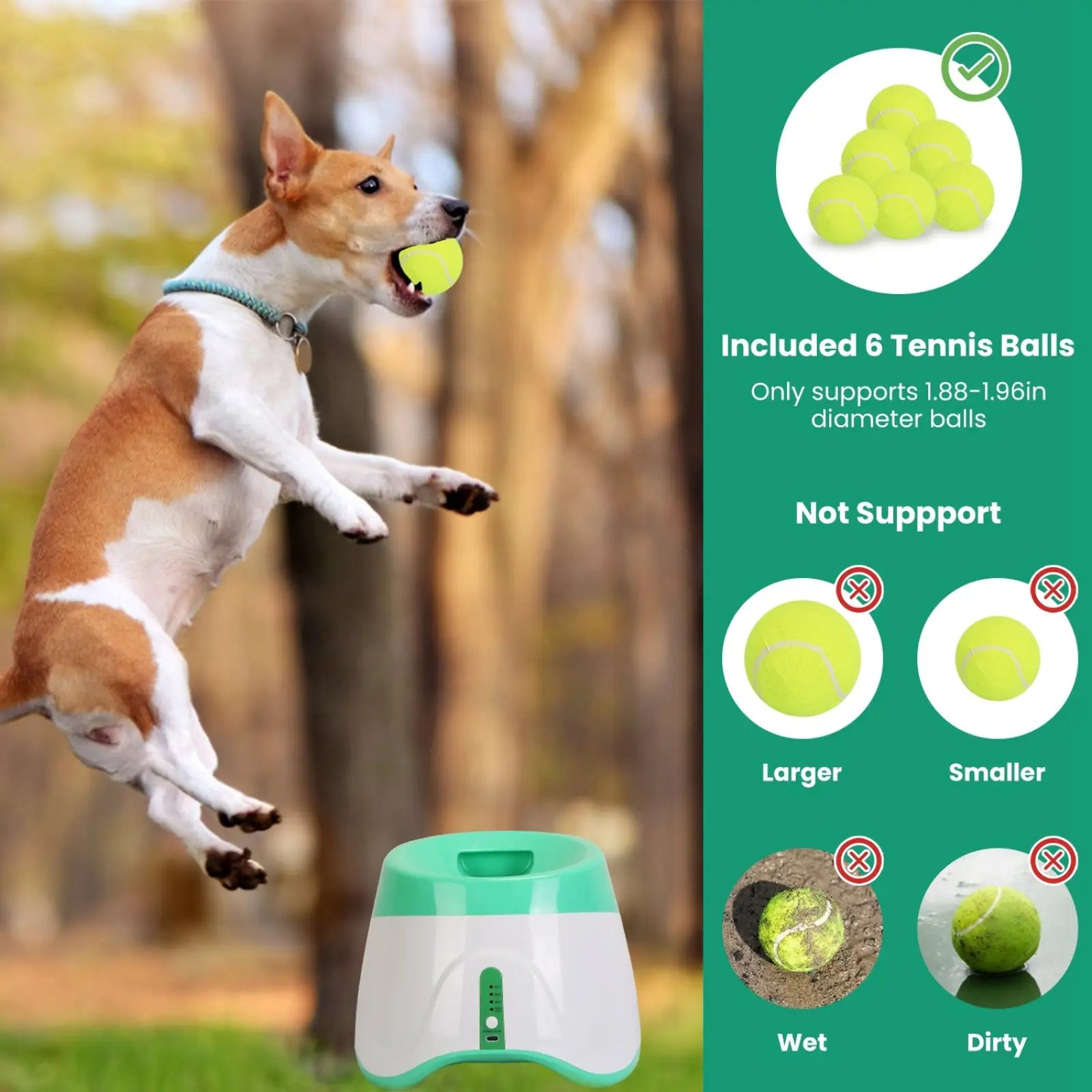 Automatic Dog Ball Launcher with 6 Tennis Balls