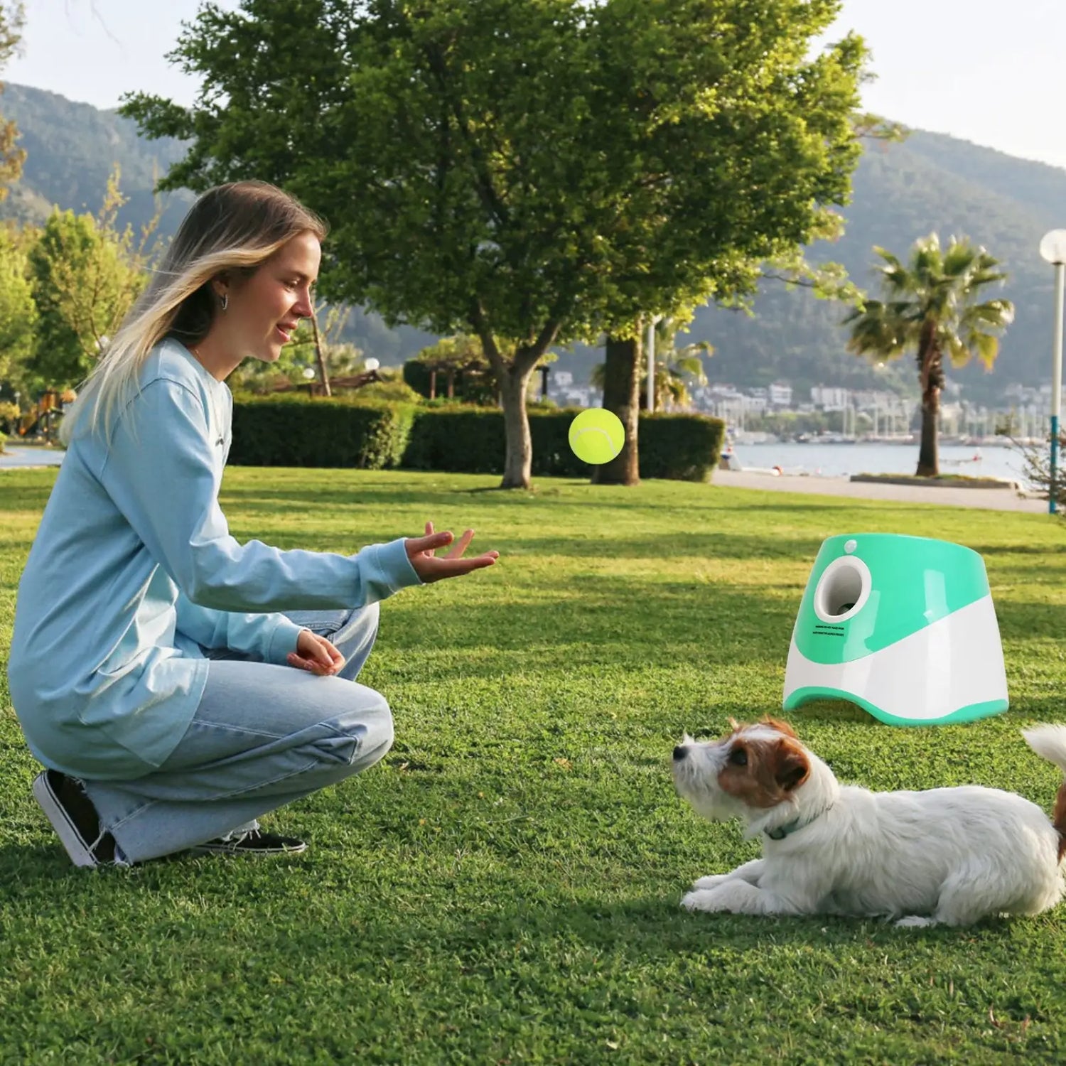 Automatic Dog Ball Launcher with 6 Tennis Balls