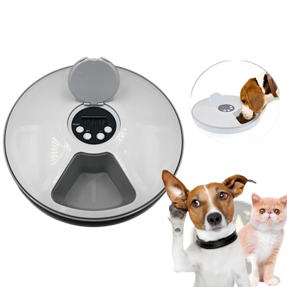 Automatic Pet Feeder 6 Meal Timing Dispenser for Dogs and Cats
