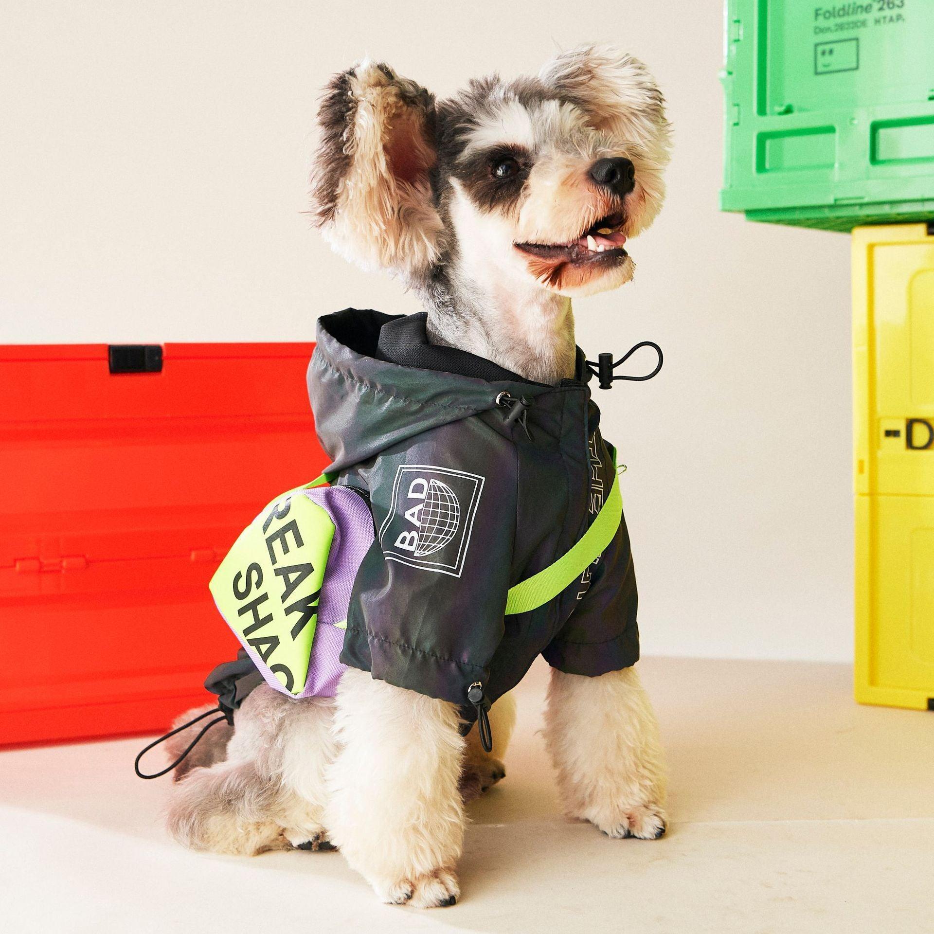 Autumn Symphony Dog Jacket