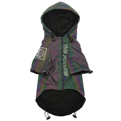 Autumn Symphony Dog Jacket