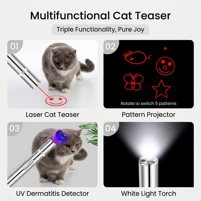 3-in-1 Laser Pet Toy &amp; UV Flashlight Pen