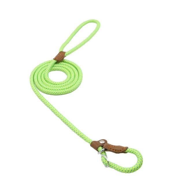 Nylon Pup Set – Premium Dog Collar &amp; Leash | Reinforced Stitching, Soft Adjustable Fit &amp; Modern Style