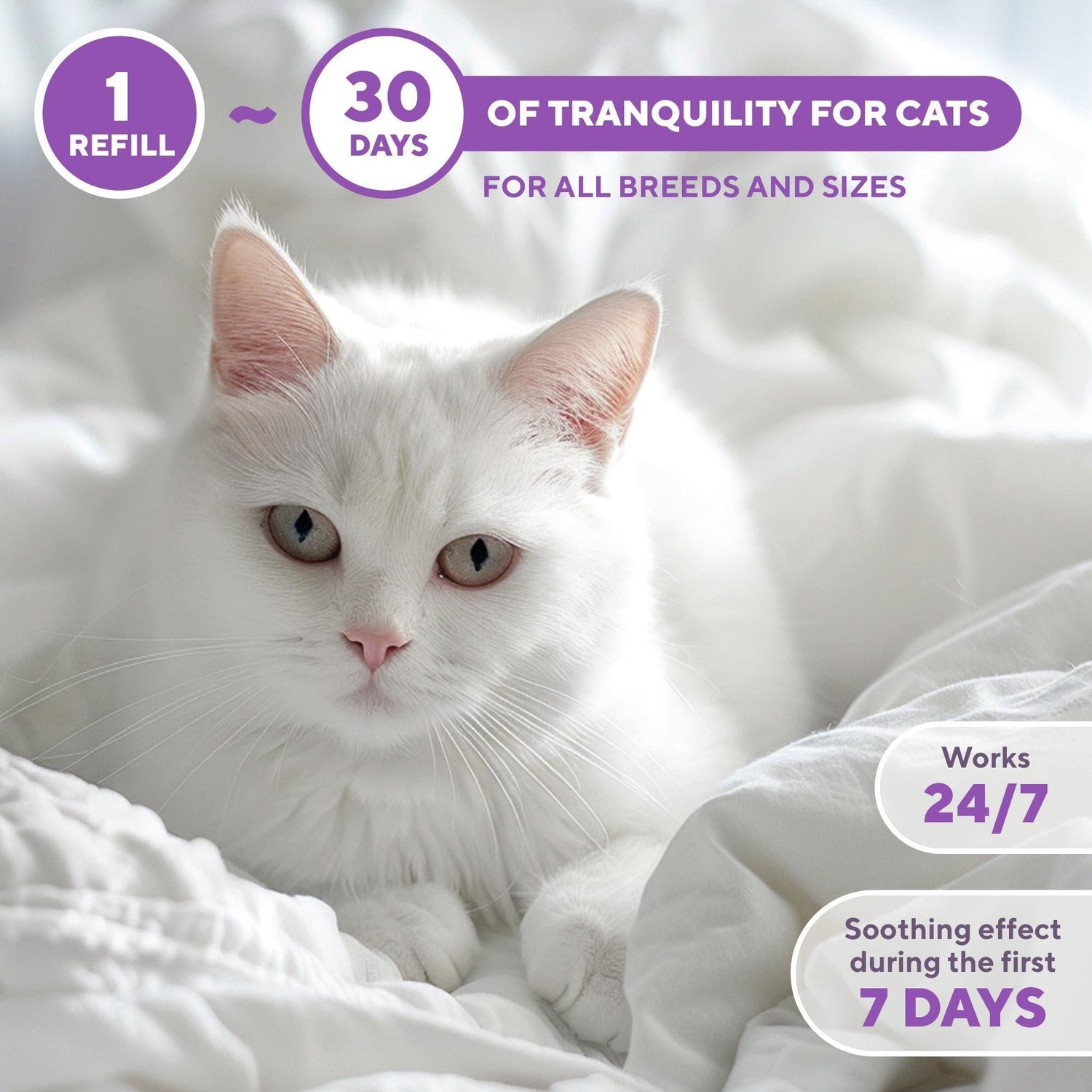 Cat Calming Pheromone Diffuser Anti-Anxiety for Cats &amp; Dogs