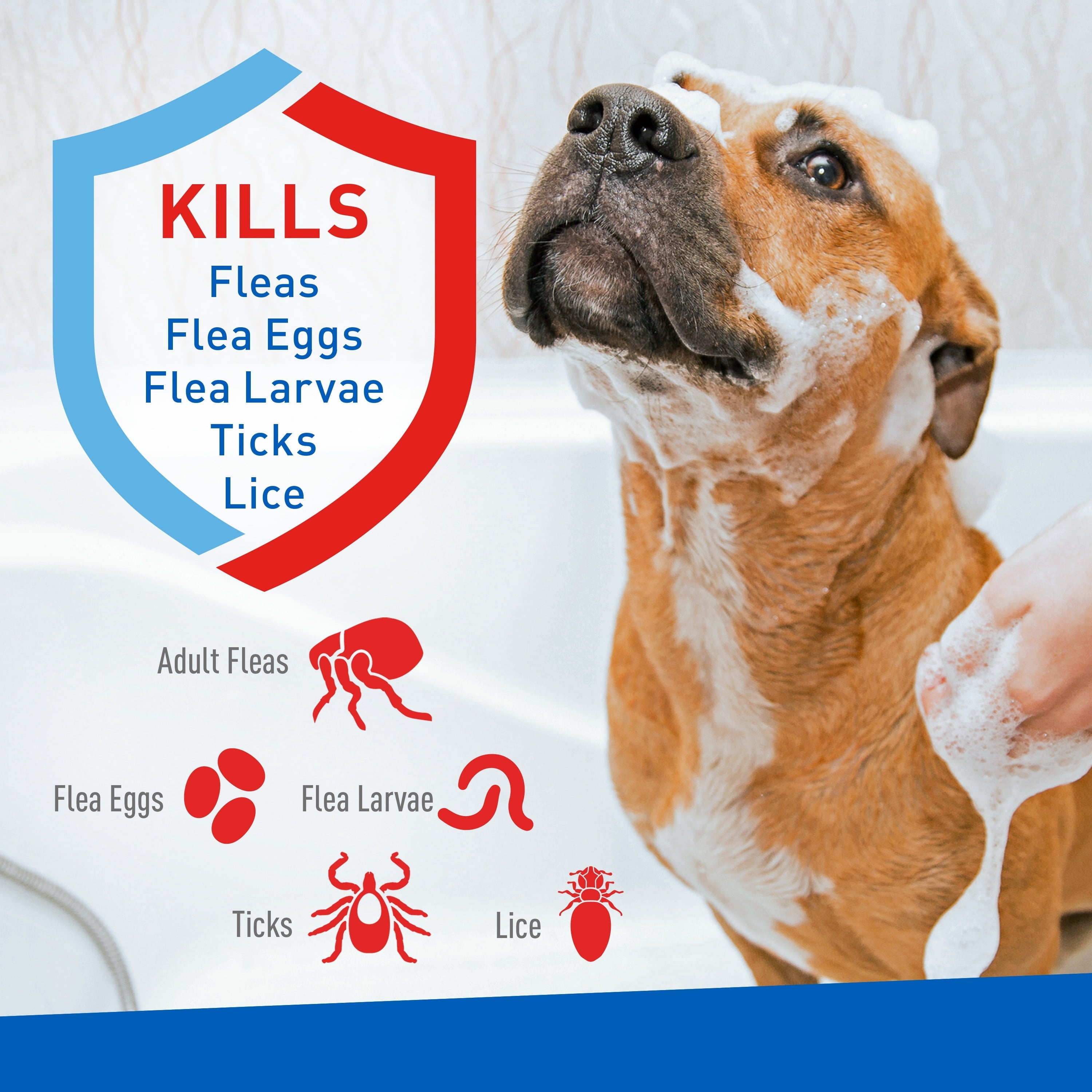 Keep Your Dog Happy and Flea-Free with ADAMS Plus Flea &amp; Tick Foaming Shampoo &amp; Wash - 2 Pack for Sensitive Skin!