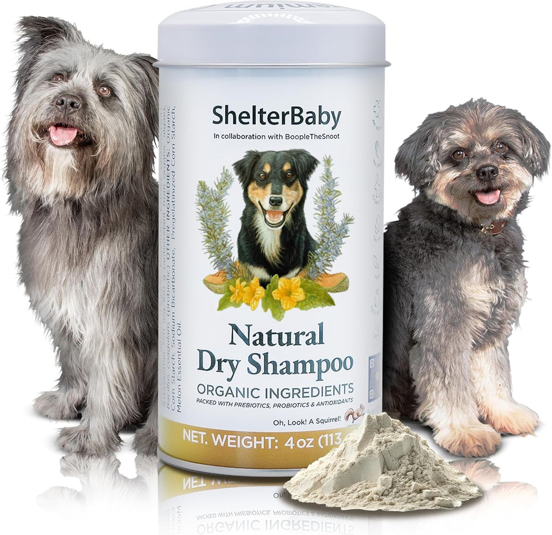 Dry Shampoo for Dogs Itchy Skin Paw Licking Allergy Support Powder