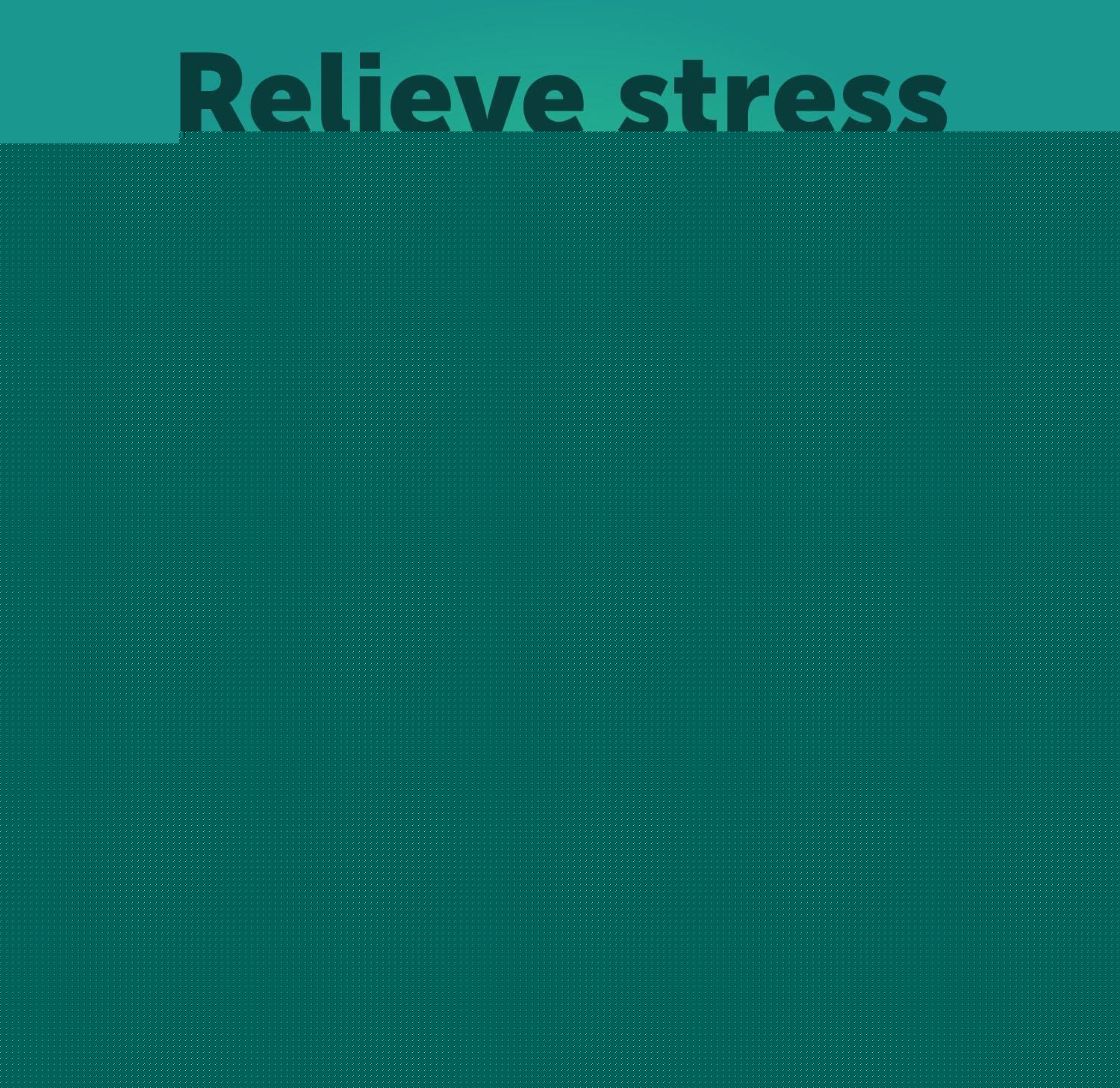 Calming Chews for Dogs 120 Count Anxiety Relief Turmeric &amp; Valerian