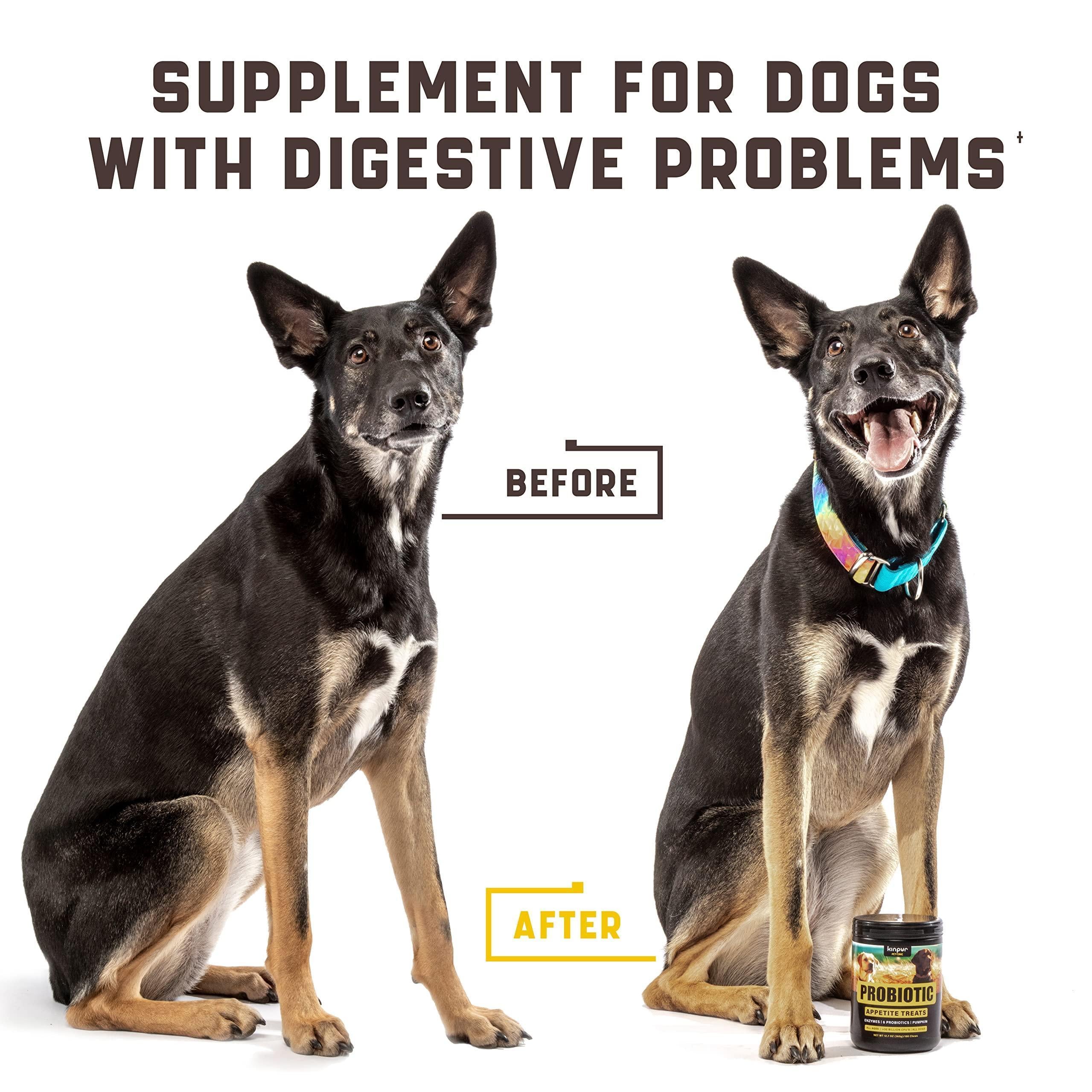 Green &amp; Beautiful Lawn: Reduce yellow patches with green lawn chews for healthy dogs! Easy lower nitrogen in dog urine and deal with unwanted yellow burn spots. Try an amazing grass saver for a clean and vibrant yard! Gut Health for Dogs: Burn spots