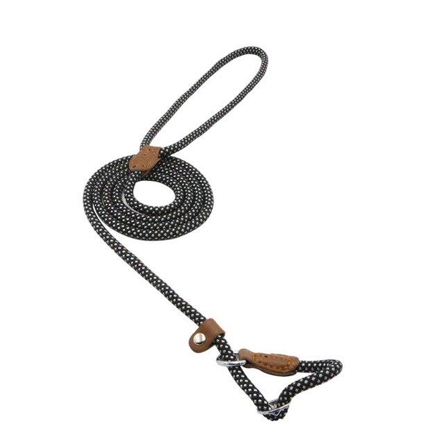 Nylon Pup Set – Premium Dog Collar &amp; Leash | Reinforced Stitching, Soft Adjustable Fit &amp; Modern Style