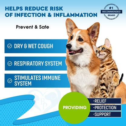 Kennel Cough Supplement for Dogs &amp; Cats Cold &amp; Cough Relief