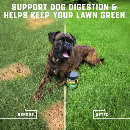 Green Lawn Chews for Dogs Urine Neutralizer Cranberry ACV &amp; Enzymes