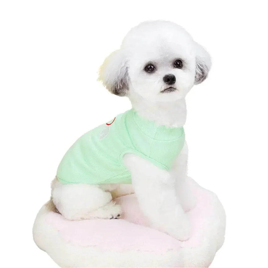 Summer Dog Shirt T Shirt for Small Medium Pet