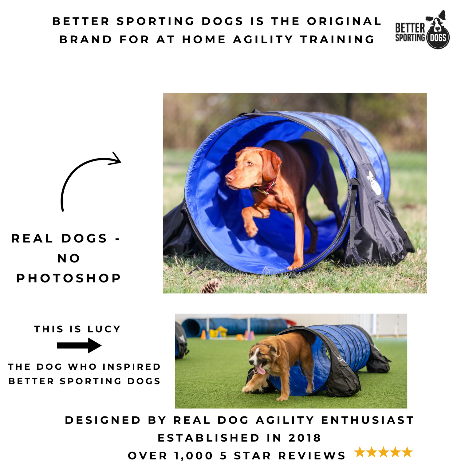Better Sporting Dogs 10 ft Dog Agility Tunnel with Sandbags – Training Tunnel for Backyard Agility Courses