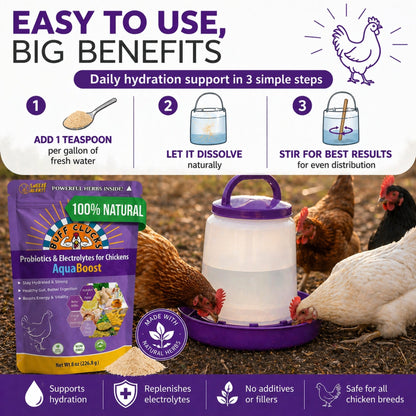 AquaBoost – Electrolytes and Probiotics for Backyard Chickens