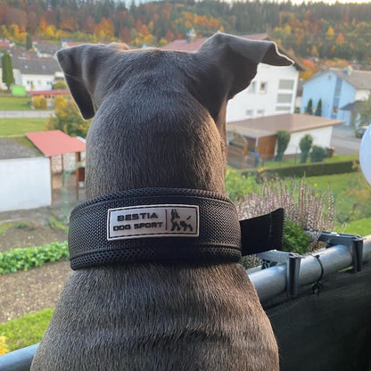 BESTIA DOG SPORT FAST RELEASE COLLAR BLACK &amp; GOLD
