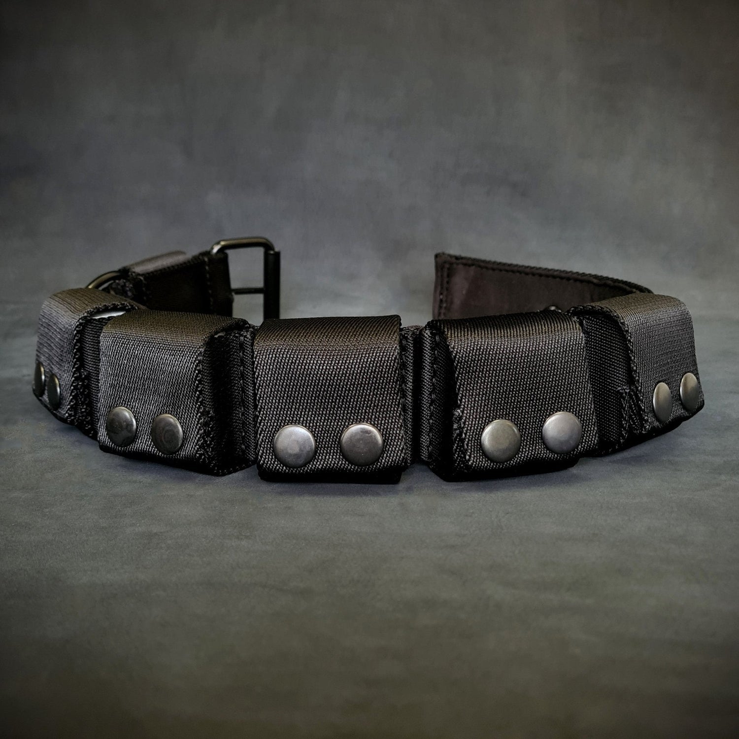 BESTIA DOG SPORT Weighted Dog Training Collar