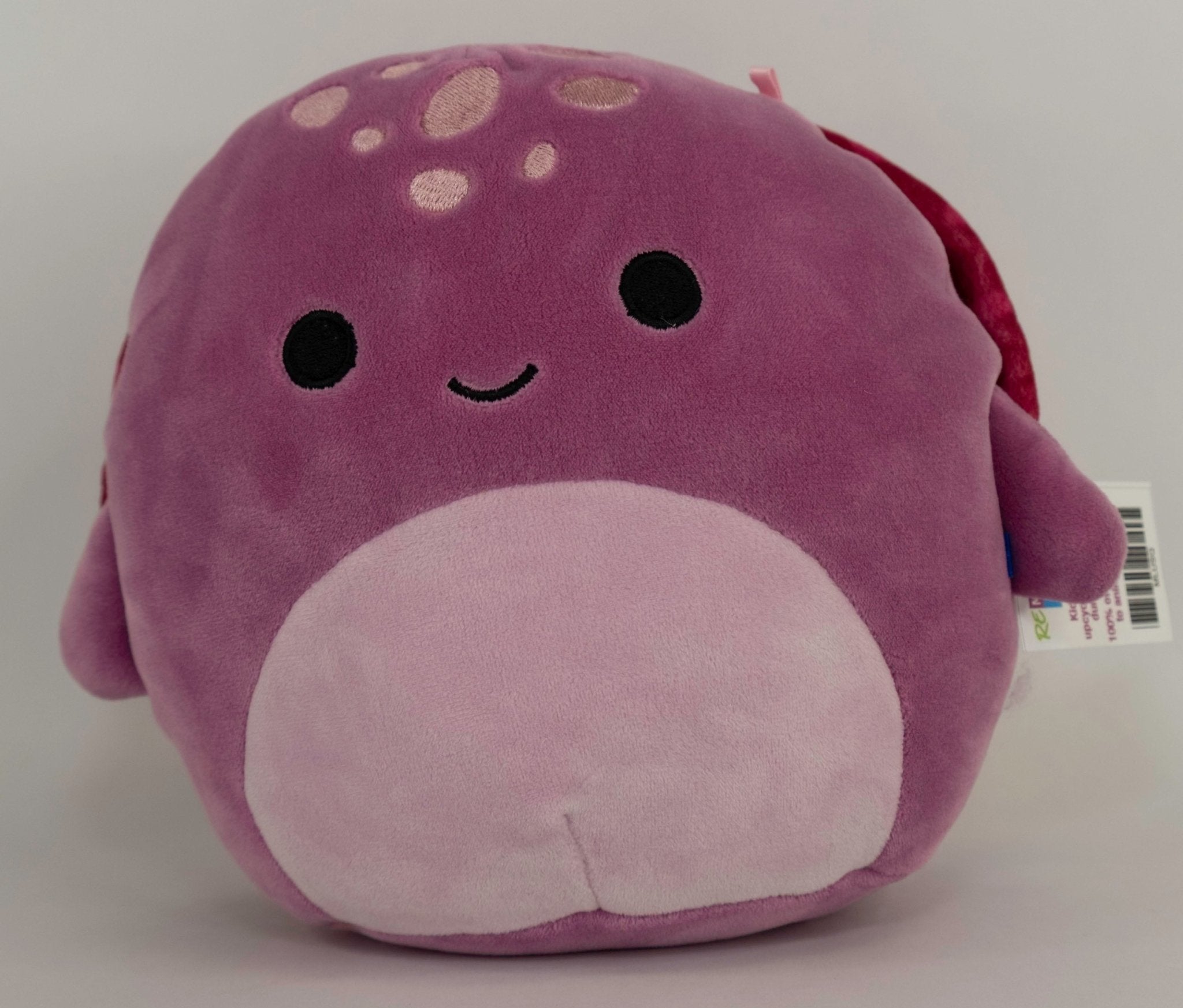 BOGO! Medium Squishy Cuddlers Super Soft Plush Pet Toys: Squeak &amp; NO Squeak
