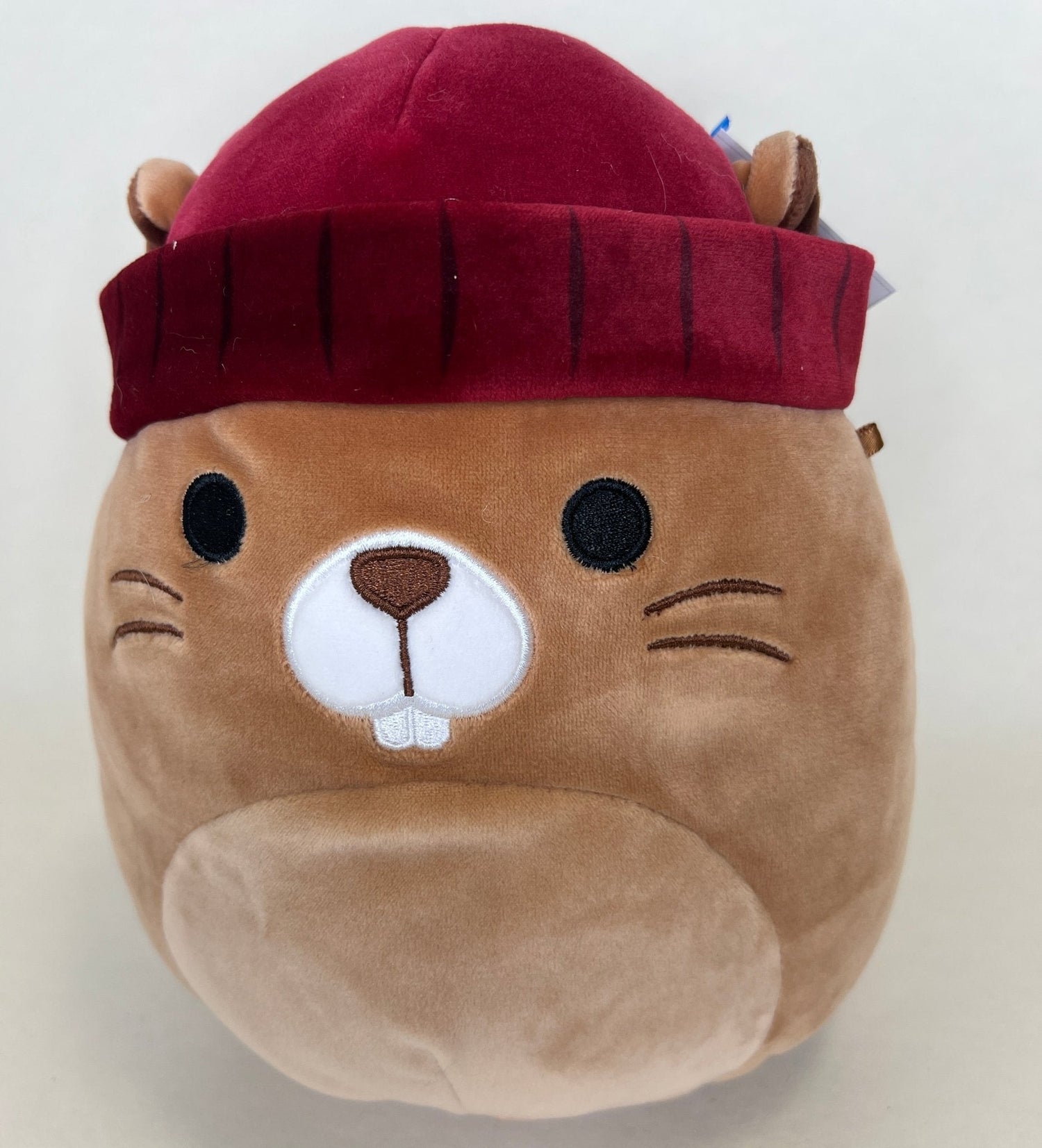 BOGO! Medium Squishy Cuddlers Super Soft Plush Pet Toys: Squeak &amp; NO Squeak