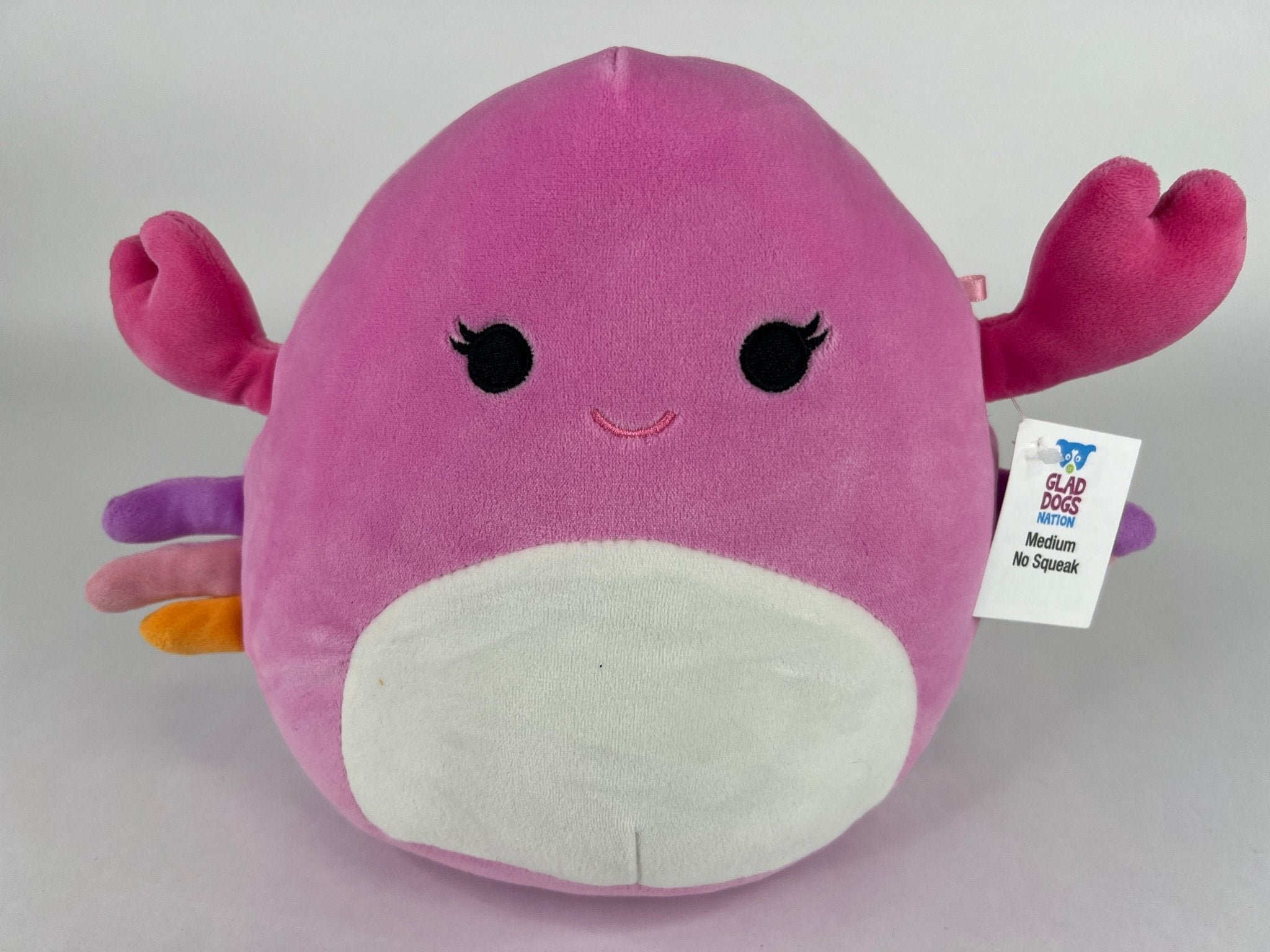 BOGO! Medium Squishy Cuddlers Super Soft Plush Pet Toys: Squeak &amp; NO Squeak