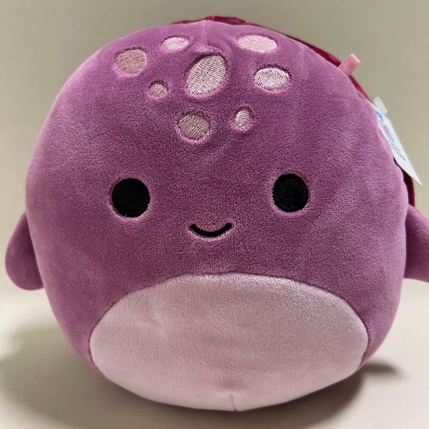 BOGO! Medium Squishy Cuddlers Super Soft Plush Pet Toys: Squeak &amp; NO Squeak