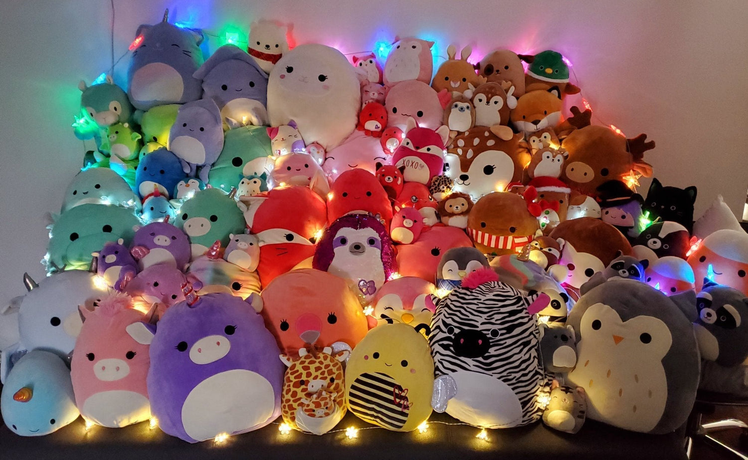 BOGO! Small Squishy Cuddlers Super Soft Plush Pet Toys: Squeak &amp; NO Squeak