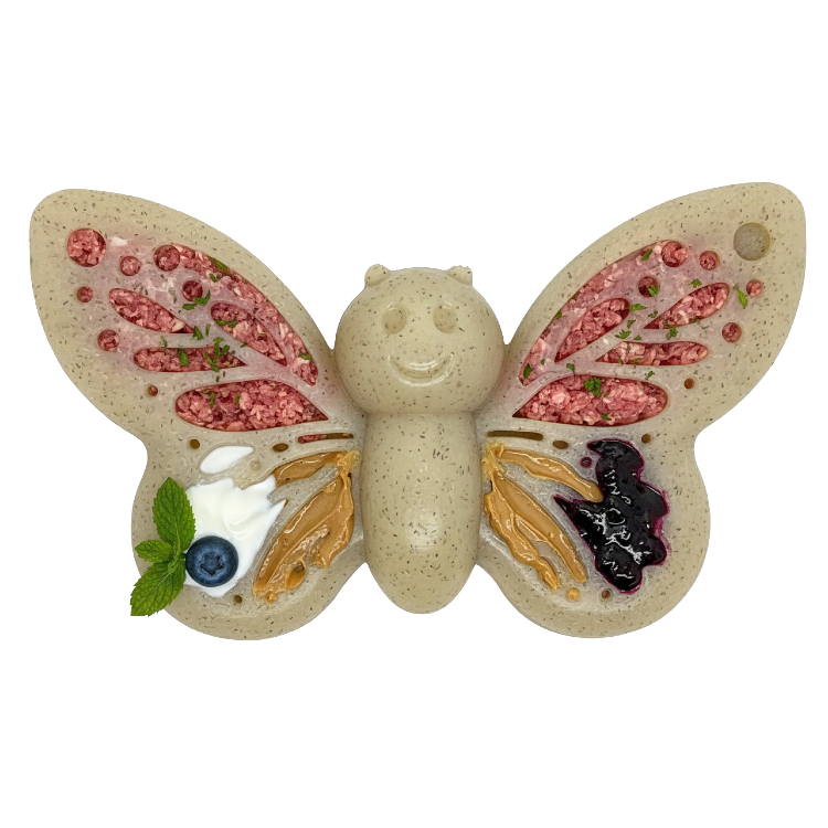 Butterfly Nylon Chew &amp; Enrichment Toy | 2-in-1 for Aggressive Chewers | SodaPup