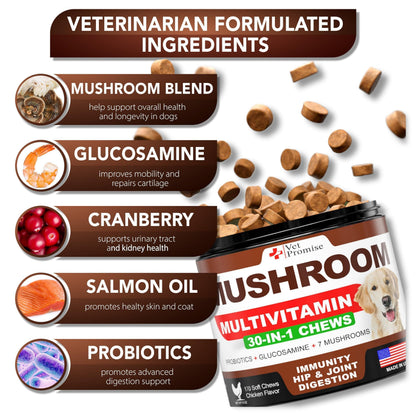 Mushroom Chews for Dogs 340 Count 2-Pack Turkey Tail Lion&