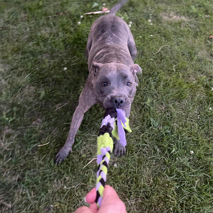 Interactive Tug &amp; Treat-Dispenser Toy for Dogs Teething Relief Lavender