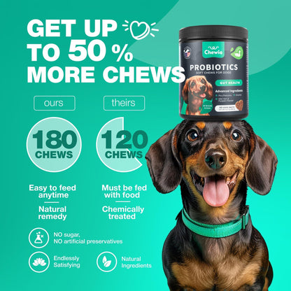 Probiotics for Dogs Digestive Enzymes Gut Health Pumpkin &amp; Yeast Powder