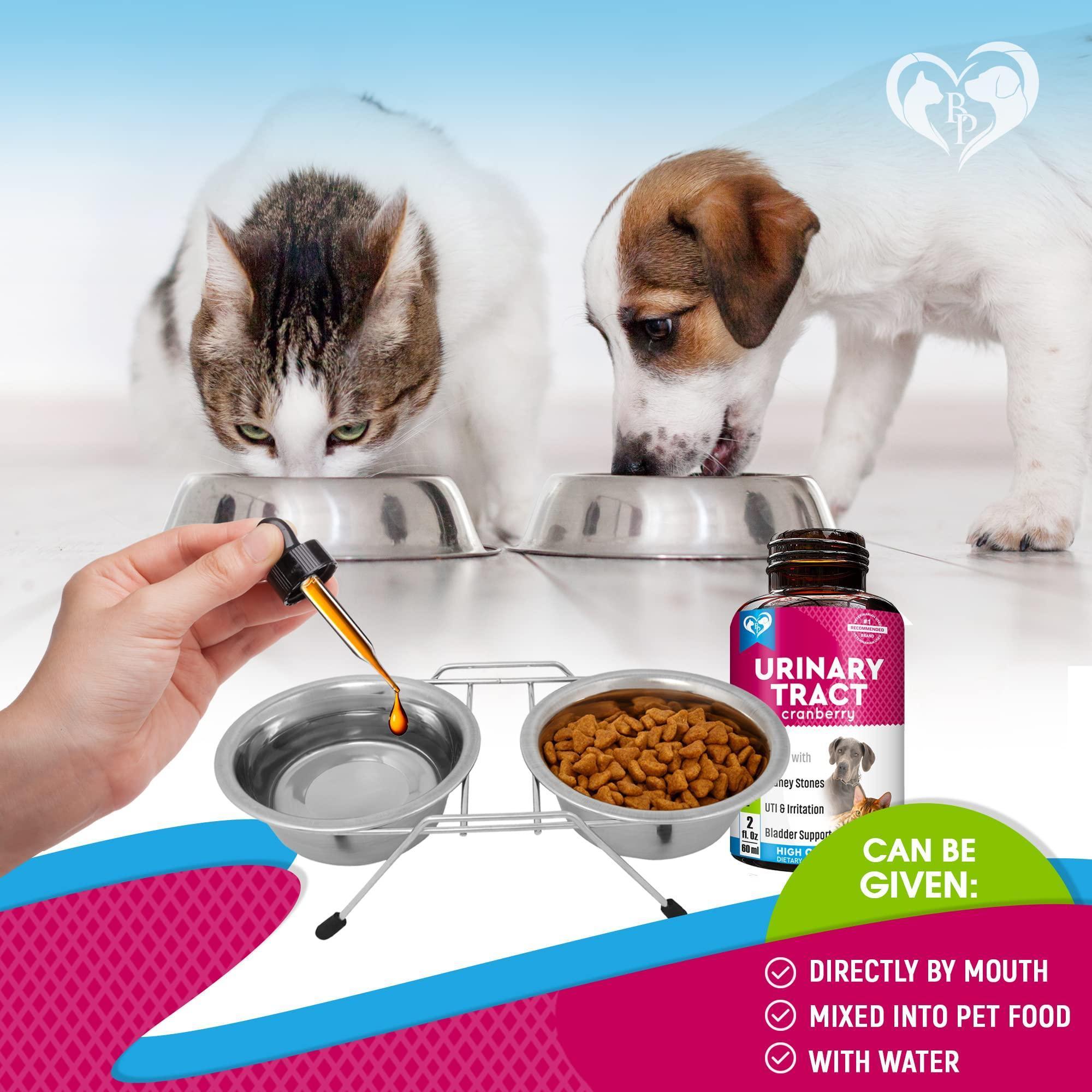 Cat &amp; Dog UTI Treatment Drops Cranberry Urinary Support