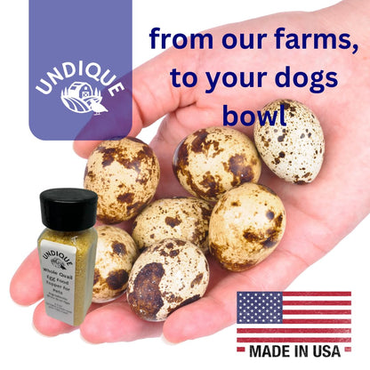 Quailicious Boost Pet Food Enhancer - Healthy Dog Food Topper with Whole Quail Eggs - Pet Health Supplements for Energy, Immune Function, Shiny Coat &amp; Skin - Omega-3 &amp; Omega-6 Rich