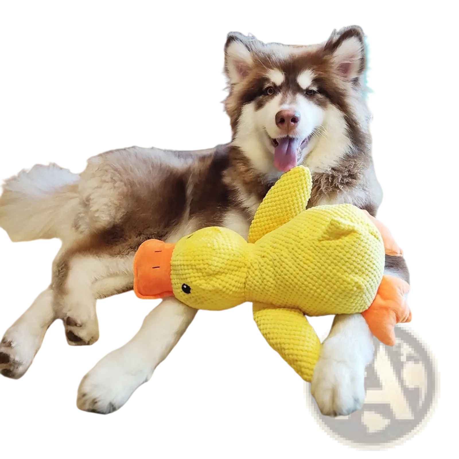Calming Duck Toy for Dogs Anxiety Relief Quacking Plush