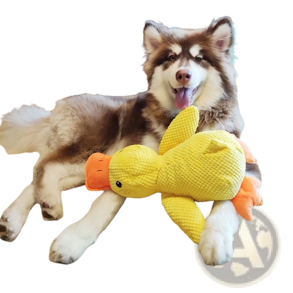 Calming Duck Toy for Dogs Anxiety Relief Quacking Plush