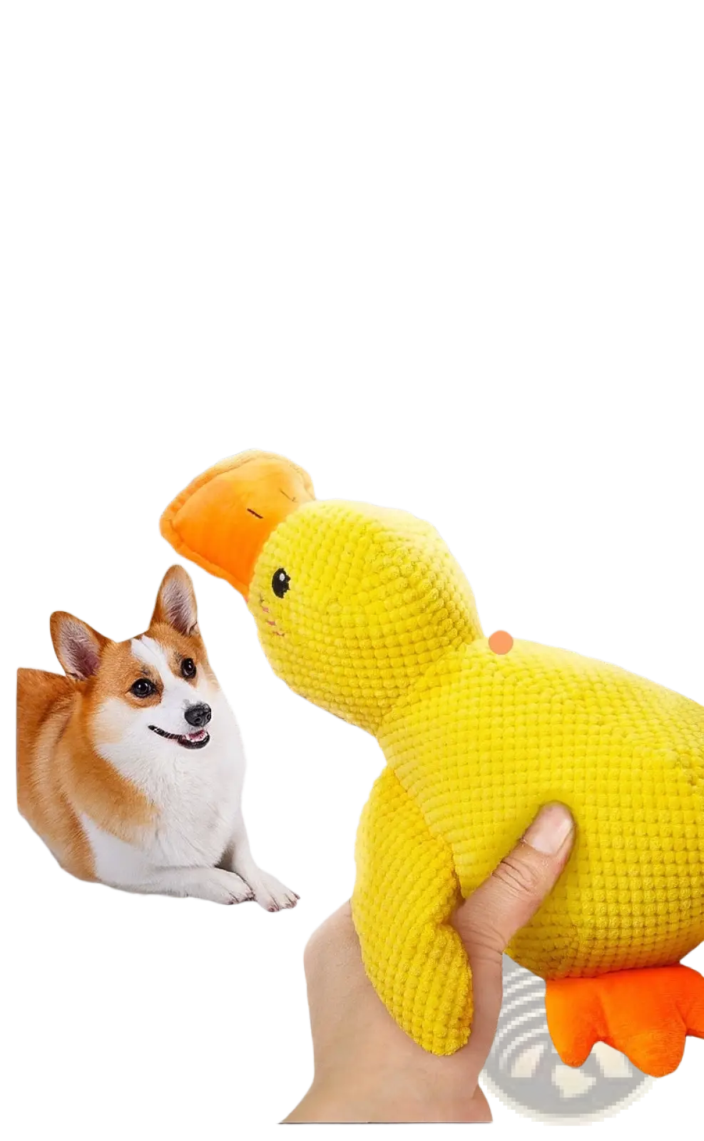 Calming Duck Toy for Dogs Anxiety Relief Quacking Plush