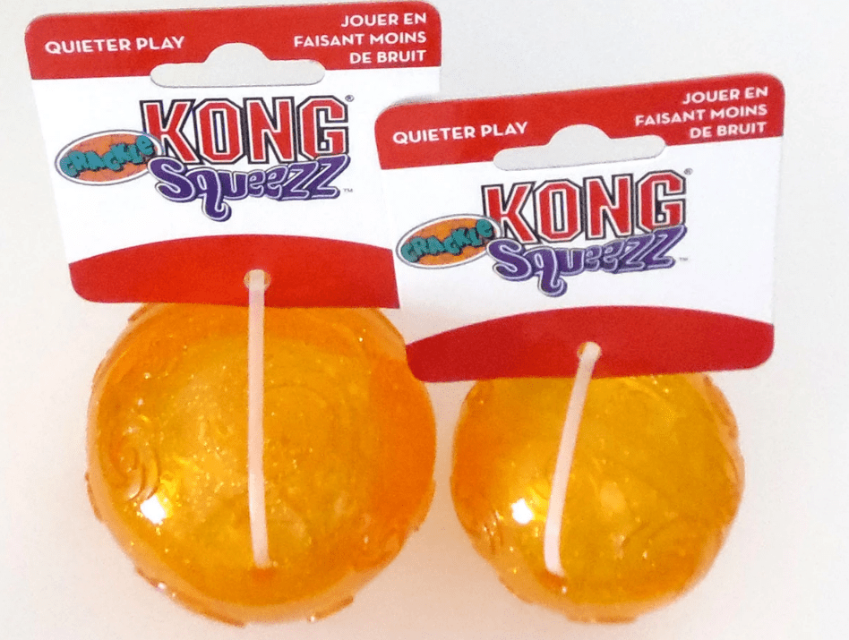 Cartoon &amp; Pop Culture SQUEAKY Dog &amp; Puppy Gift Basket: 3 Sizes