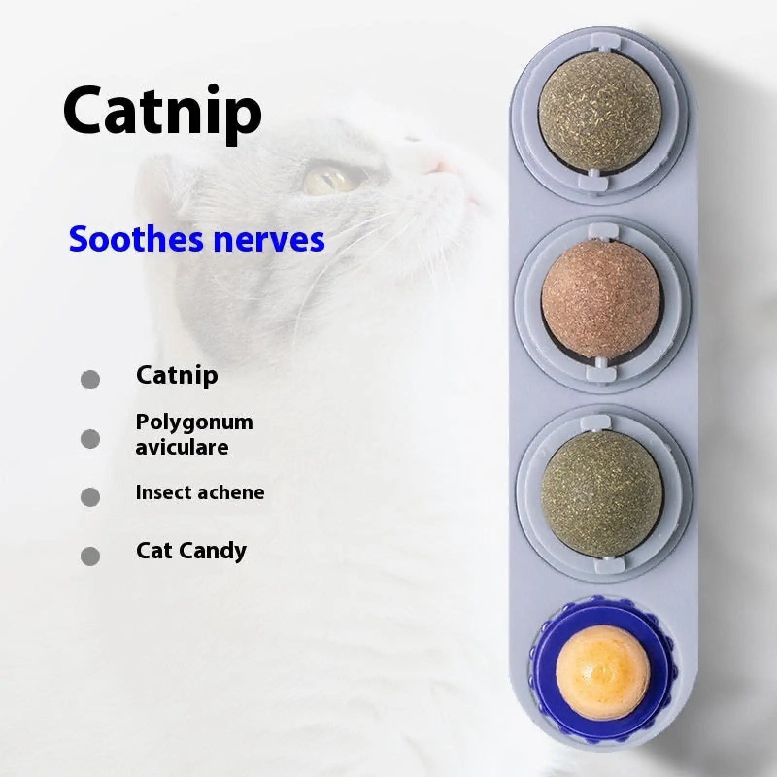 Catnip Silvervine 4 in 1 Rotating Wall Toy Ball