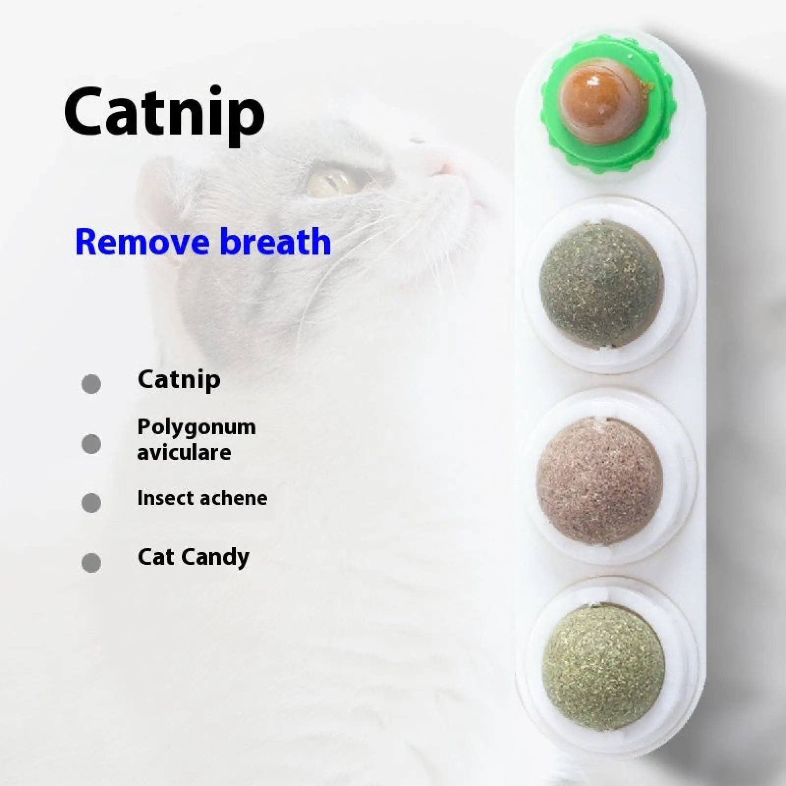 Catnip Silvervine 4 in 1 Rotating Wall Toy Ball