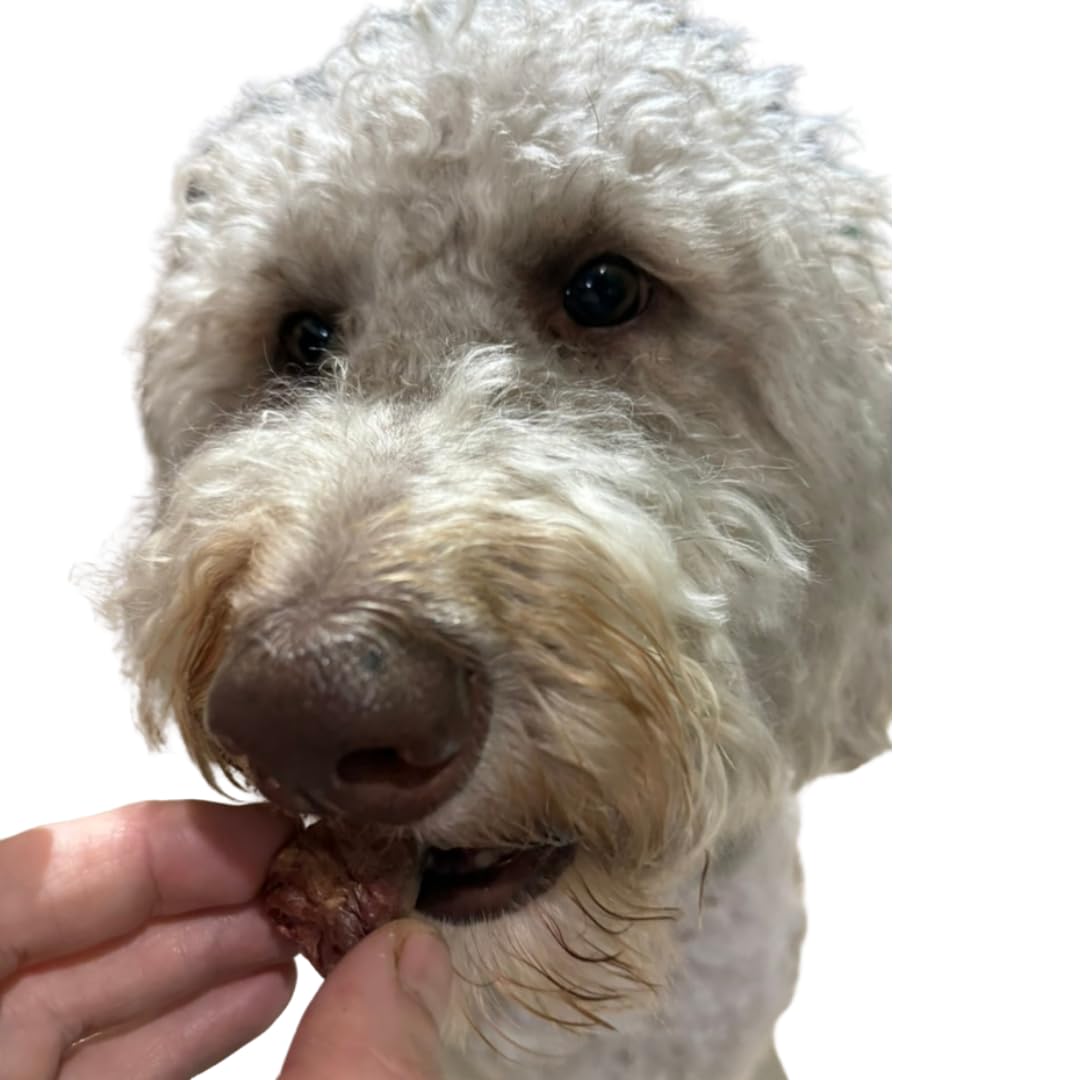 Freeze-Dried Duck Hearts, 3 oz, Single Ingredient Dog &amp; Cat Treats, USA Made