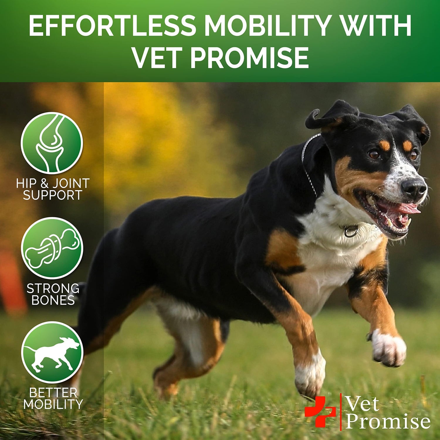 Hemp Hip &amp; Joint Supplement for Dogs Glucosamine 120 Chews