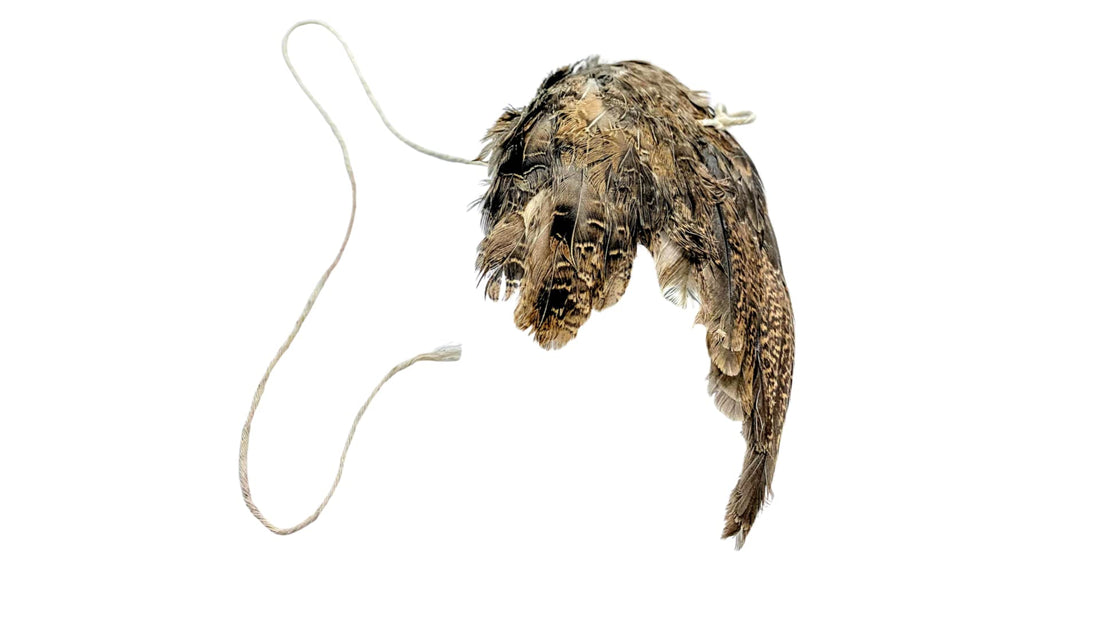 Wing on String Cat Toy - Real Bird Wing Dog Training Supplies &amp; Accessories, Quail Wing Bird Scent Interactive Play for Cats, Hunting Dog Training Bird Retrieval Cat Trainer