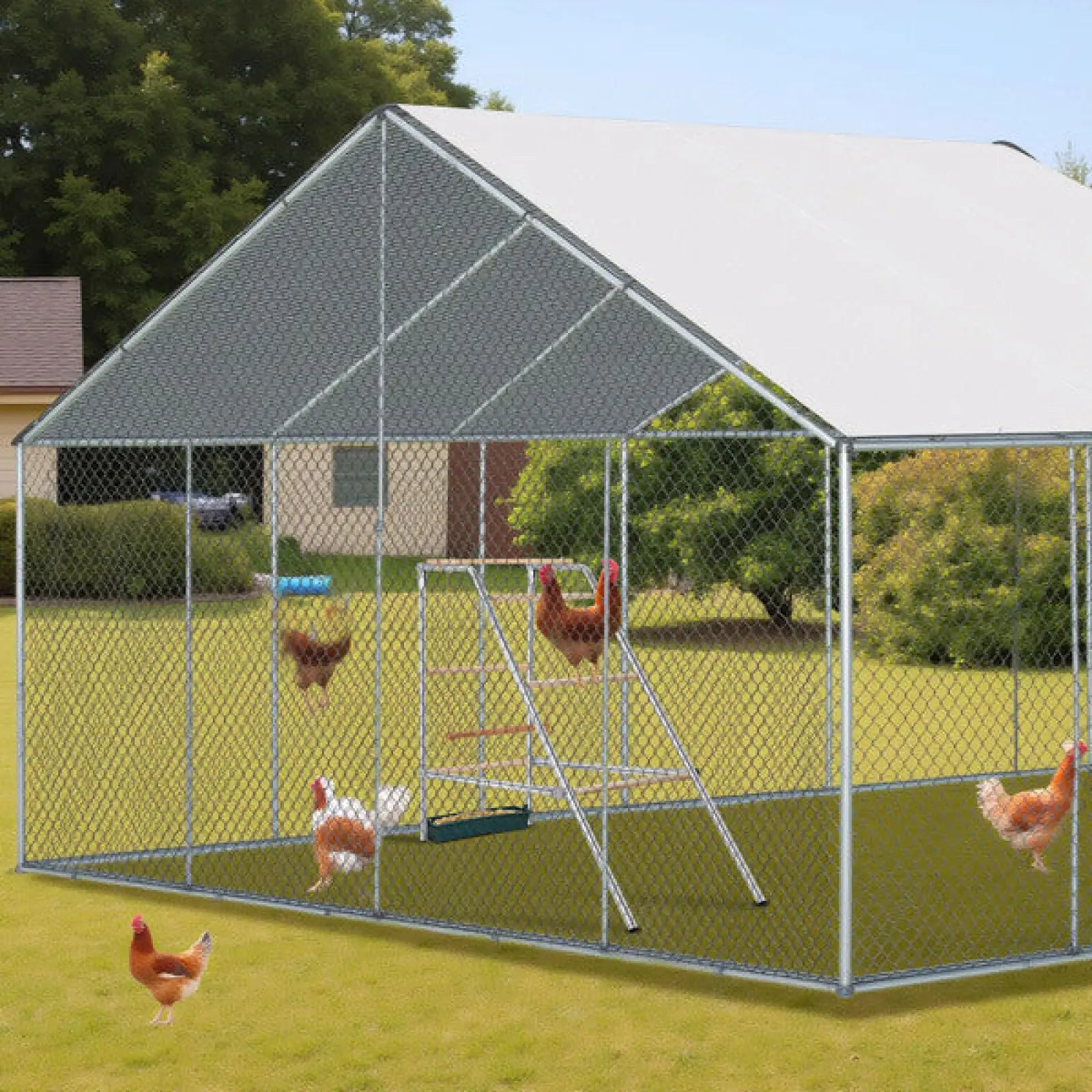 Chicken Perch 4 Tier Metal and Wood Outdoor Activity Stand