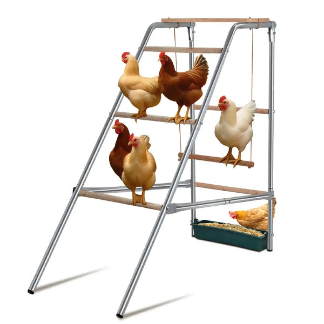 Chicken Perch 4 Tier Metal and Wood Outdoor Activity Stand