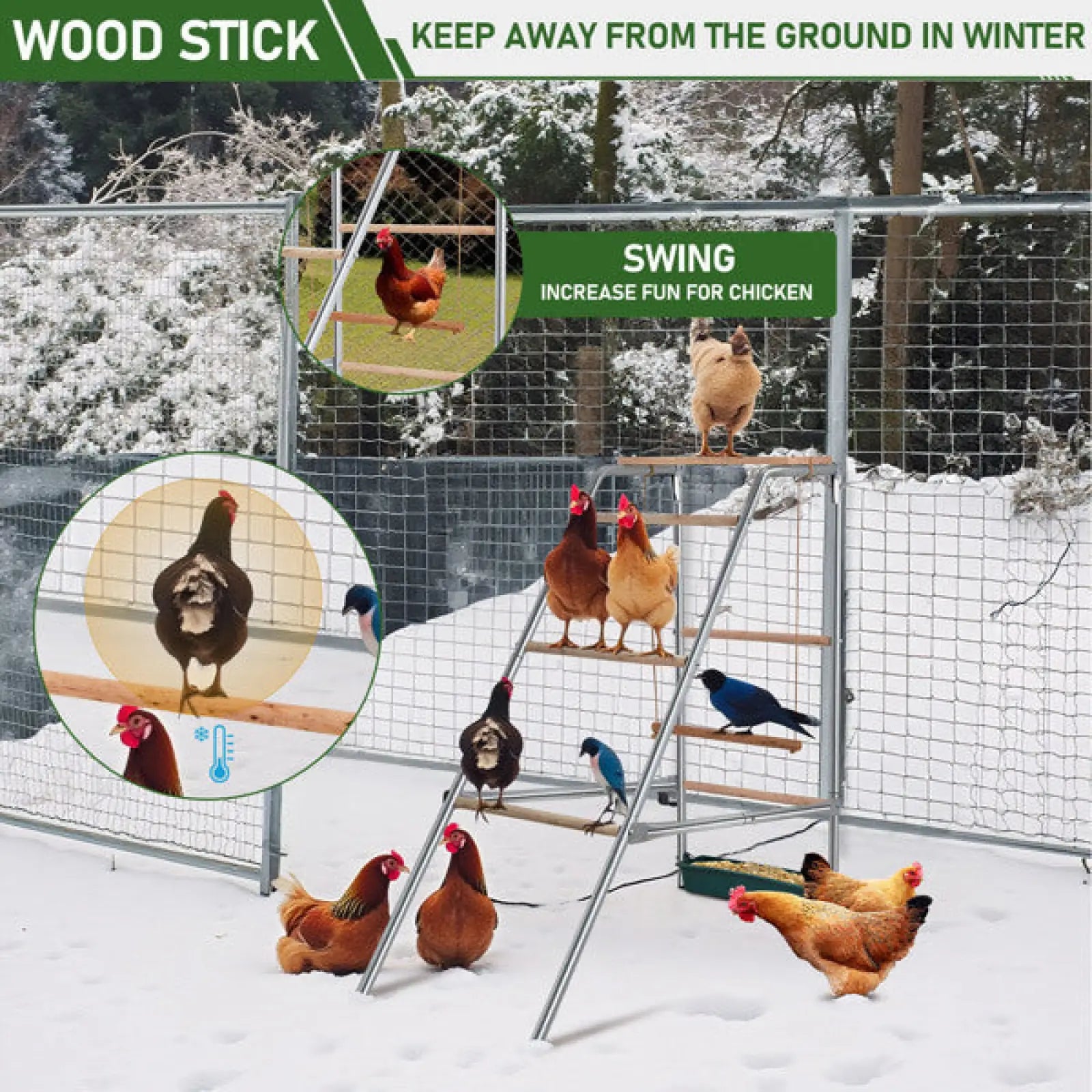 Chicken Perch 4 Tier Metal and Wood Outdoor Activity Stand